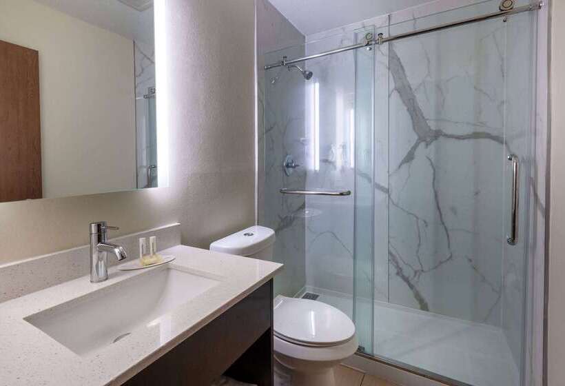 ホテル Rodeway Inn