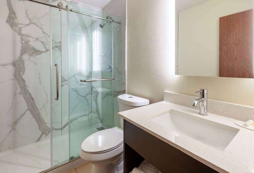 ホテル Rodeway Inn