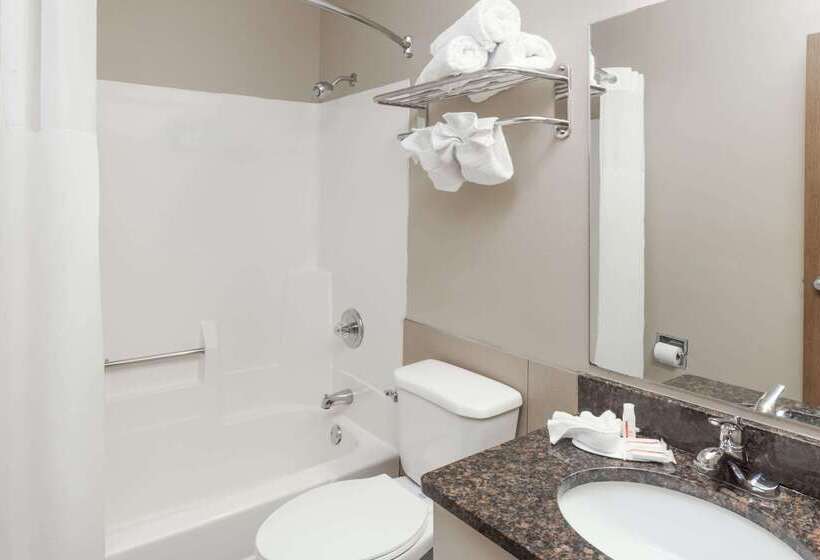 ホテル Rodeway Inn