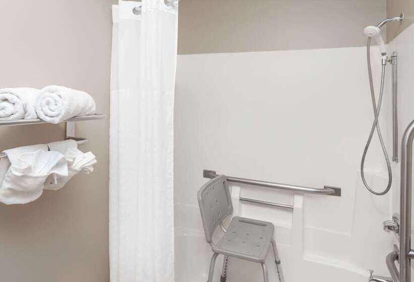 ホテル Rodeway Inn