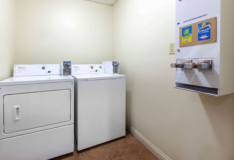 ホテル Rodeway Inn