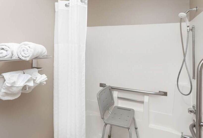 ホテル Rodeway Inn