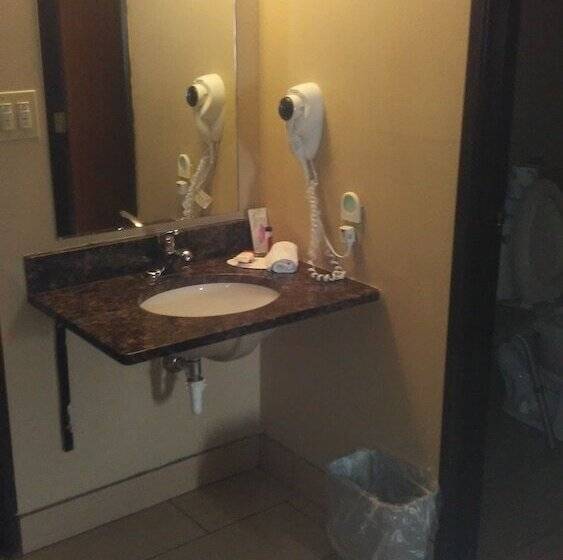 ホテル Rodeway Inn