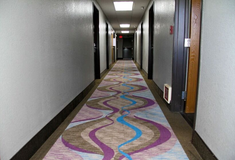 فندق Super 8 By Wyndham Kansas City