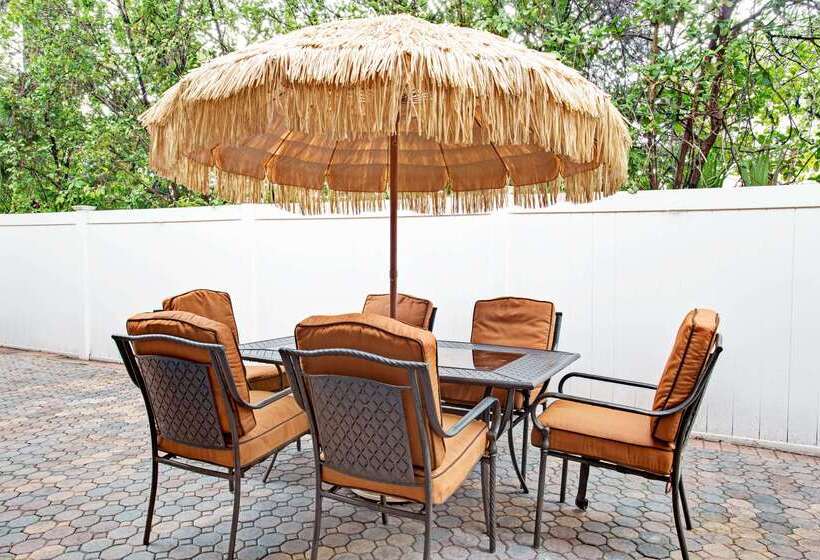 酒店 Super 8 By Wyndham Kissimmee/maingate/orlando Area