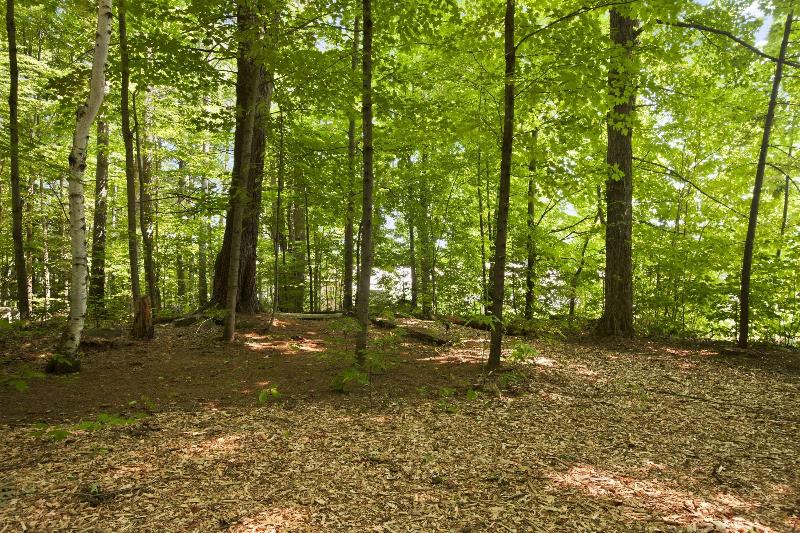 酒店 Super 8 By Wyndham Lake George/downtown