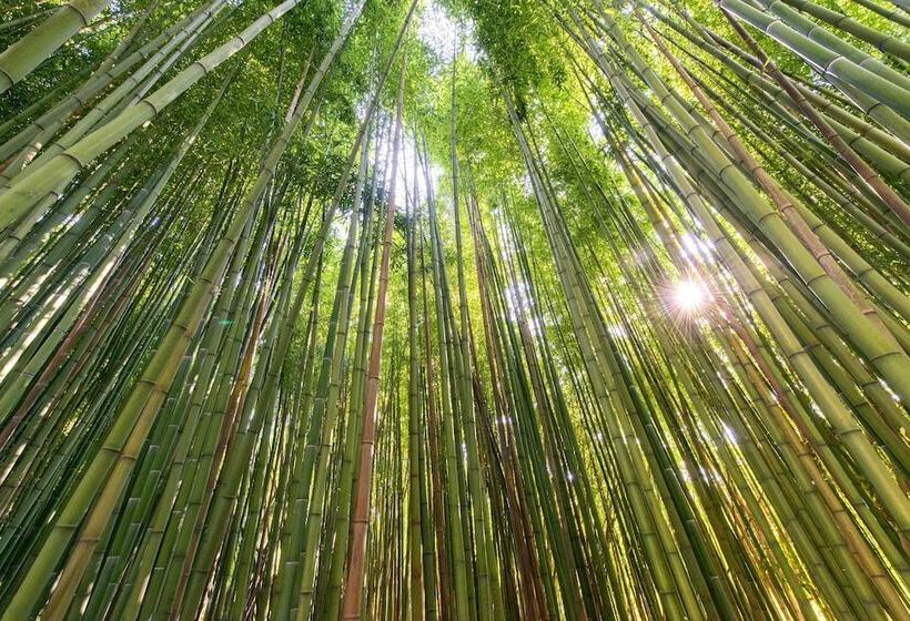 فندق Terme Di Stigliano