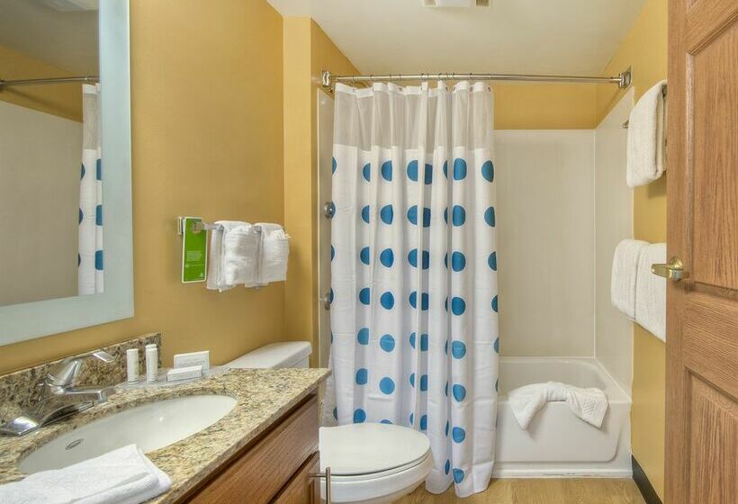 ホテル Towneplace Suites By Marriott Charlotte Univ. Research Park