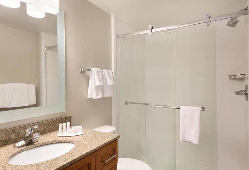 호텔 Towneplace Suites By Marriott Denver Downtown