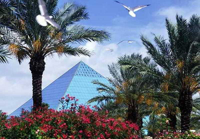 בית מלון כפרי Mainstay Suites Houston Nasa Clear Lake