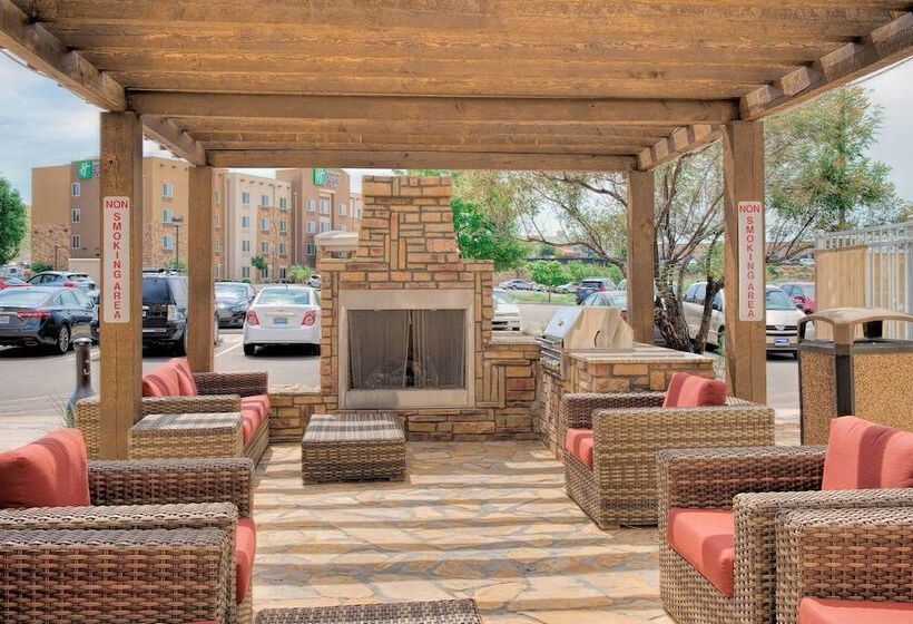 酒店 Towneplace Suites By Marriott Las Cruces