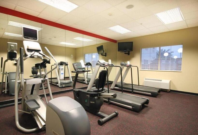 فندق Towneplace Suites Lubbock