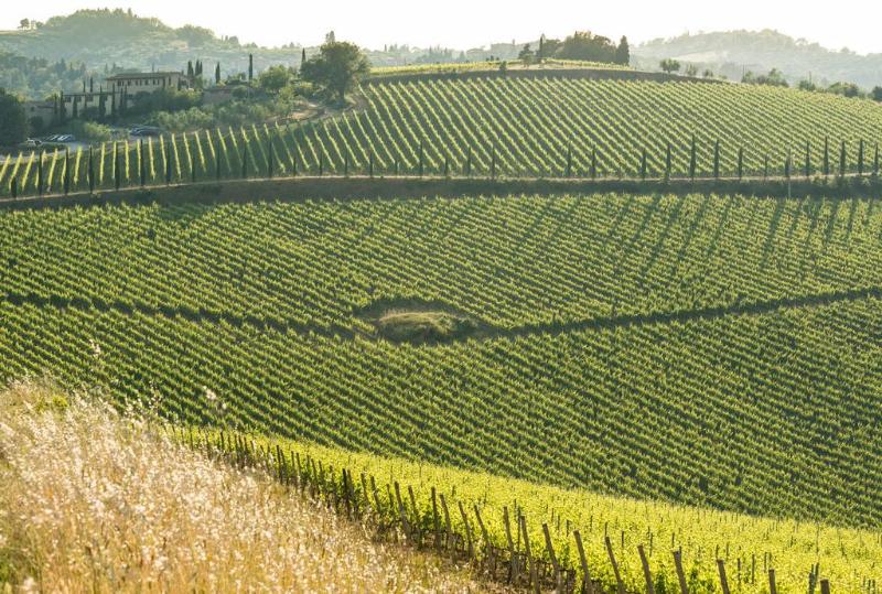 בית מלון כפרי Wine Resort Dievole