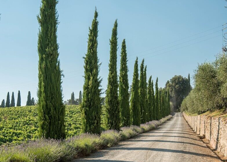 בית מלון כפרי Wine Resort Dievole