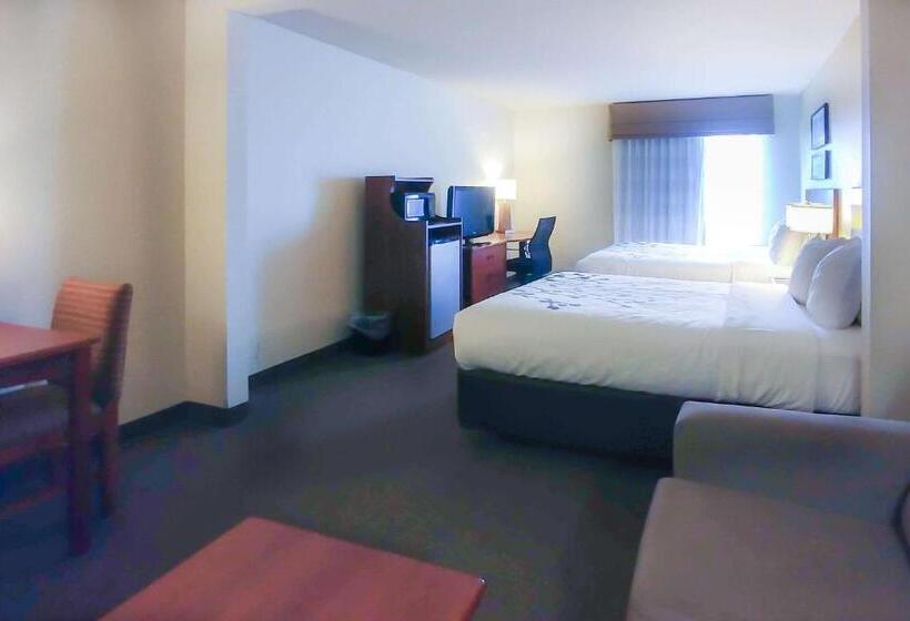 호텔 Wingate By Wyndham Dublin Near Claytor Lake State Park
