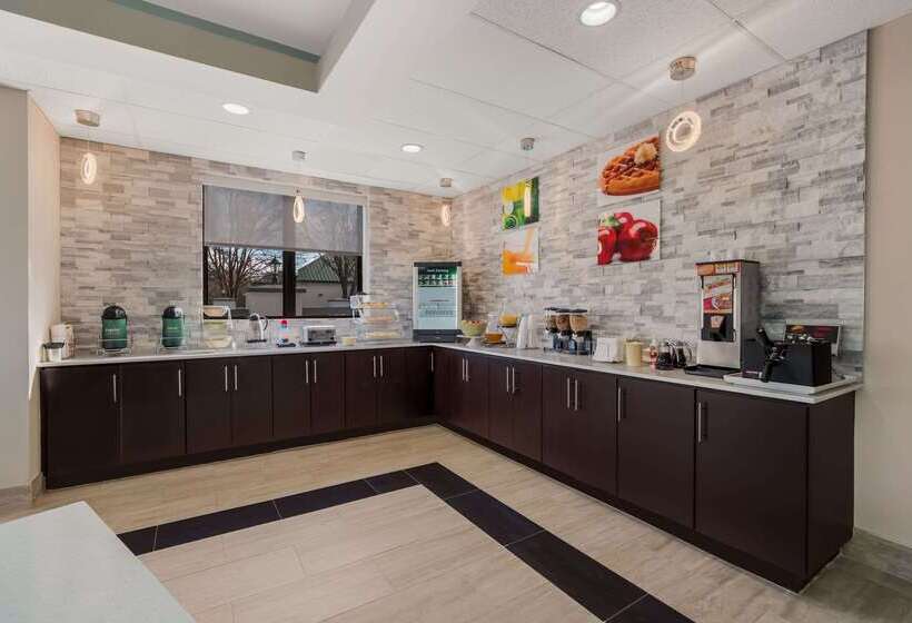 汽车旅馆  Quality Inn & Suites