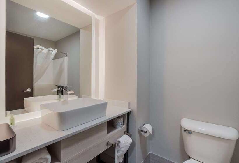 汽车旅馆  Quality Inn & Suites