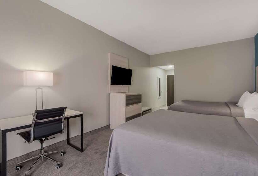 汽车旅馆  Quality Inn & Suites