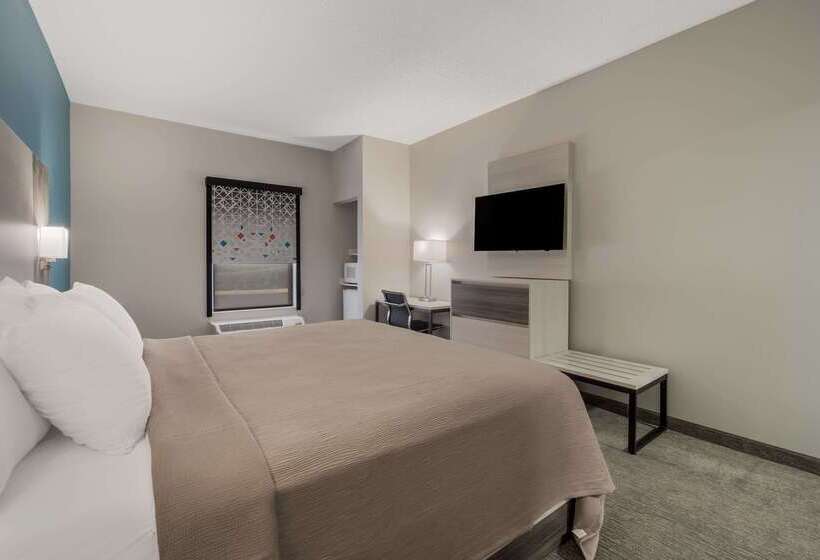 汽车旅馆  Quality Inn & Suites