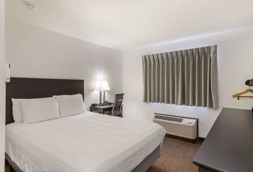 فندق على الطريق Americas Best Value Inn & Suites Birch Run