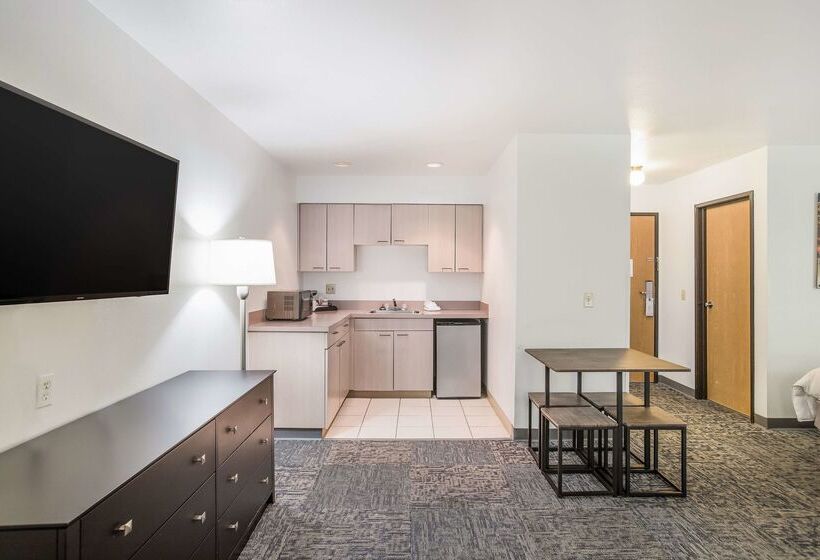 فندق على الطريق Americas Best Value Inn & Suites Birch Run