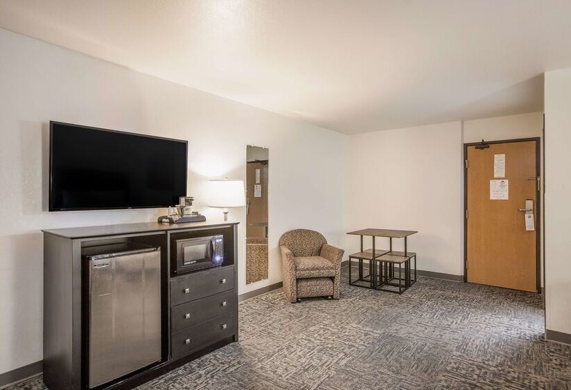 فندق على الطريق Americas Best Value Inn & Suites Birch Run