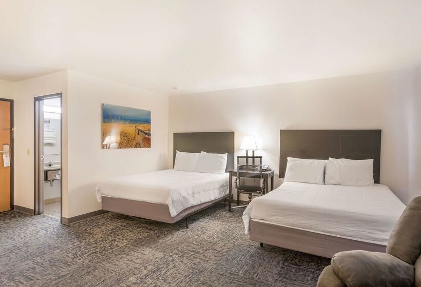 فندق على الطريق Americas Best Value Inn & Suites Birch Run