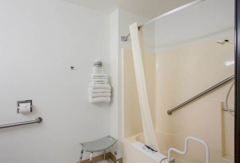 فندق على الطريق Americas Best Value Inn & Suites Birch Run