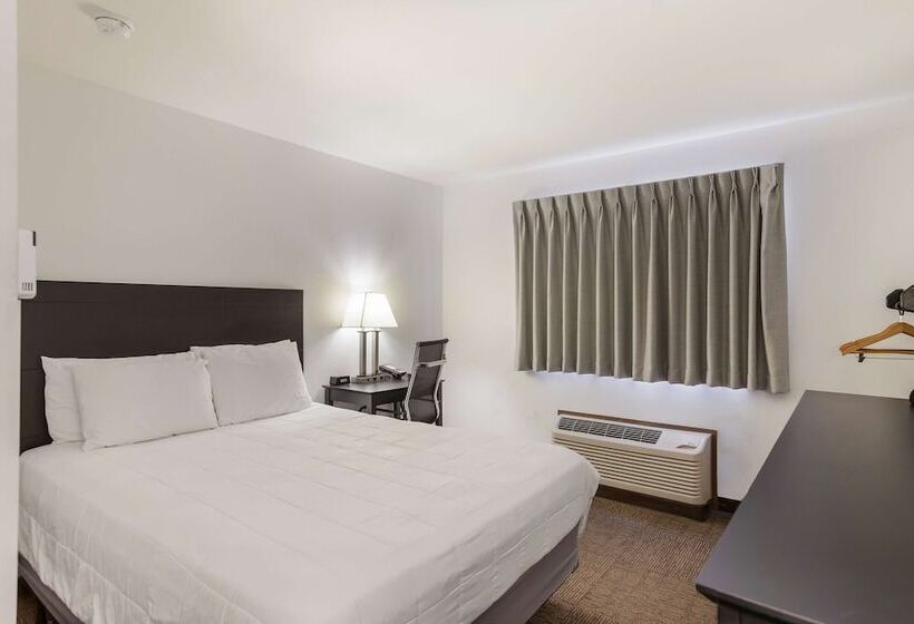 فندق على الطريق Americas Best Value Inn & Suites Birch Run