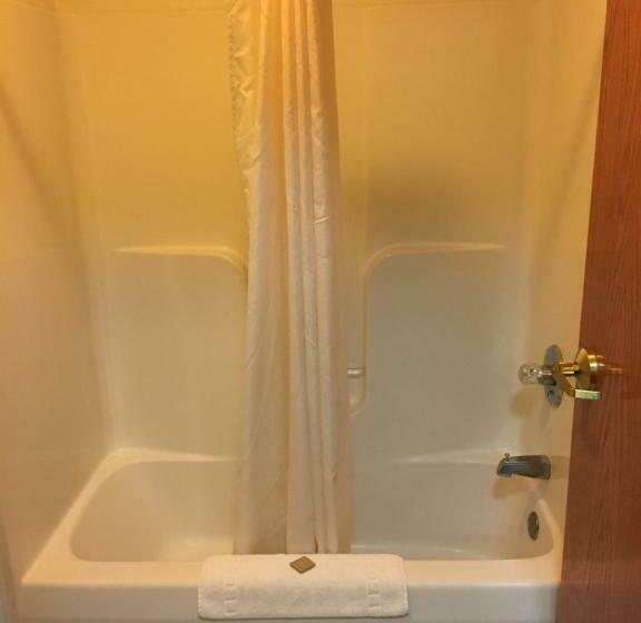 فندق على الطريق Arlington Inn And Suites