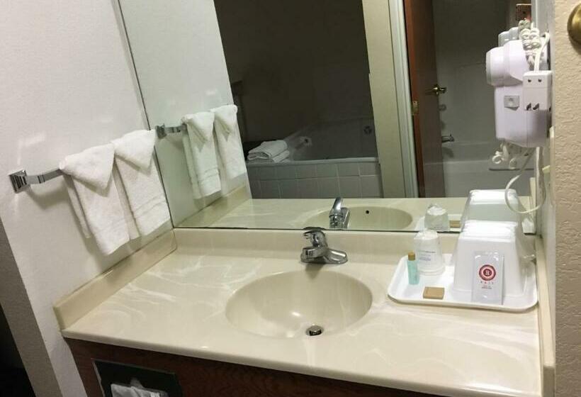 فندق على الطريق Arlington Inn And Suites