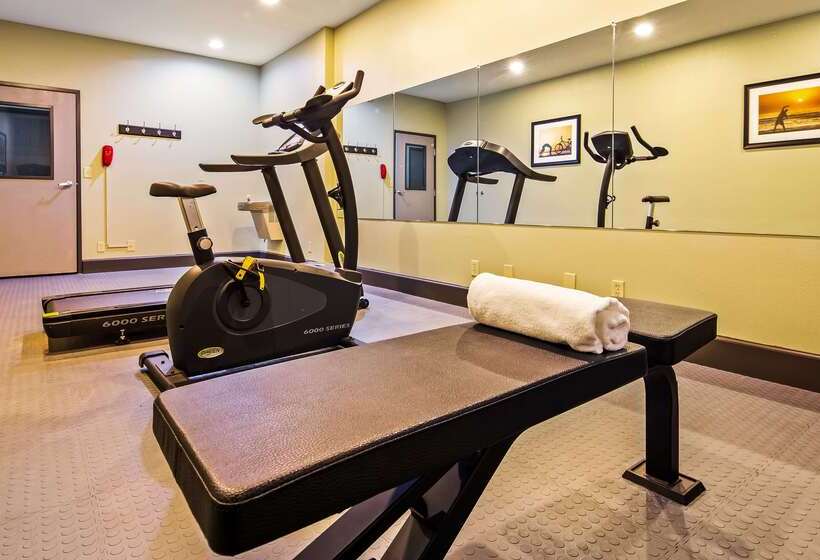 מוטל Best Western Mt. Vernon Inn