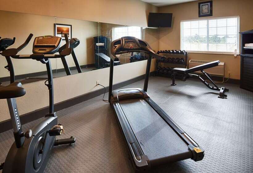 فندق على الطريق Best Western Mt. Vernon Inn