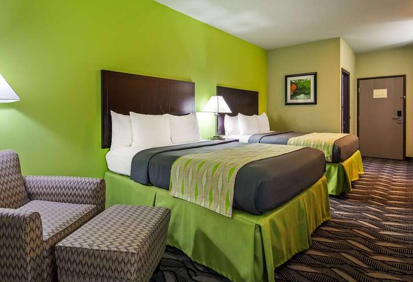 فندق على الطريق Best Western Mt. Vernon Inn