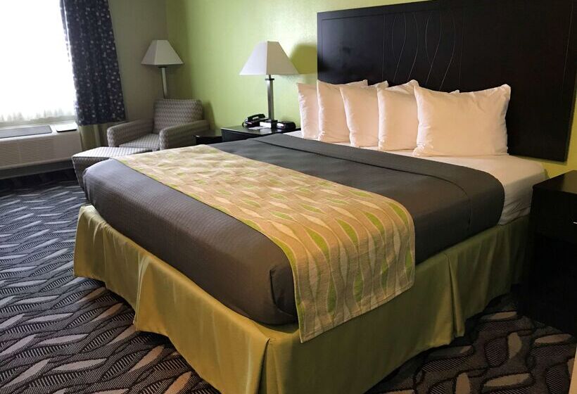 فندق على الطريق Best Western Mt. Vernon Inn