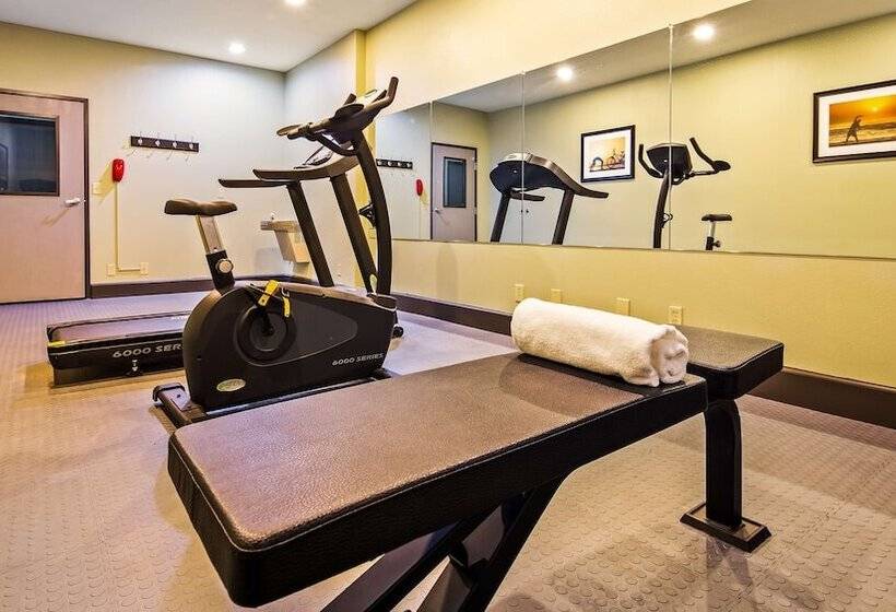 فندق على الطريق Best Western Mt. Vernon Inn