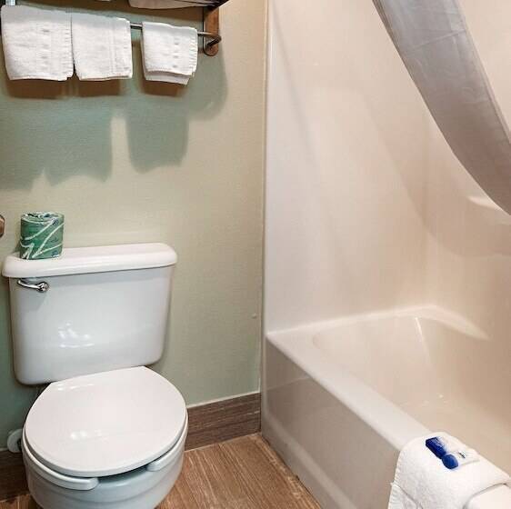 فندق على الطريق Best Western Mt. Vernon Inn