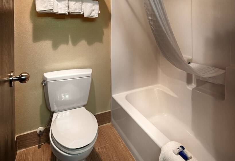 فندق على الطريق Best Western Mt. Vernon Inn