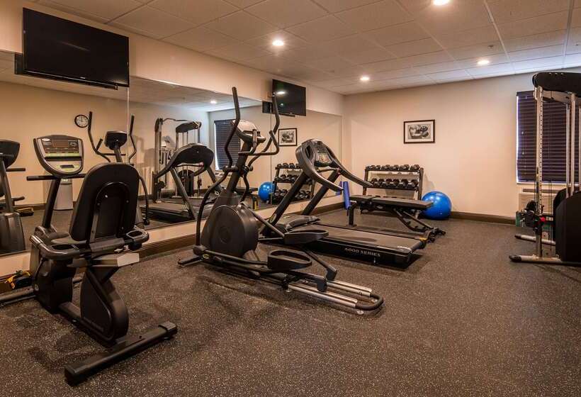 فندق على الطريق Best Western Mulberry