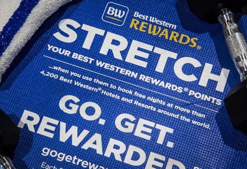 فندق على الطريق Best Western Mulberry