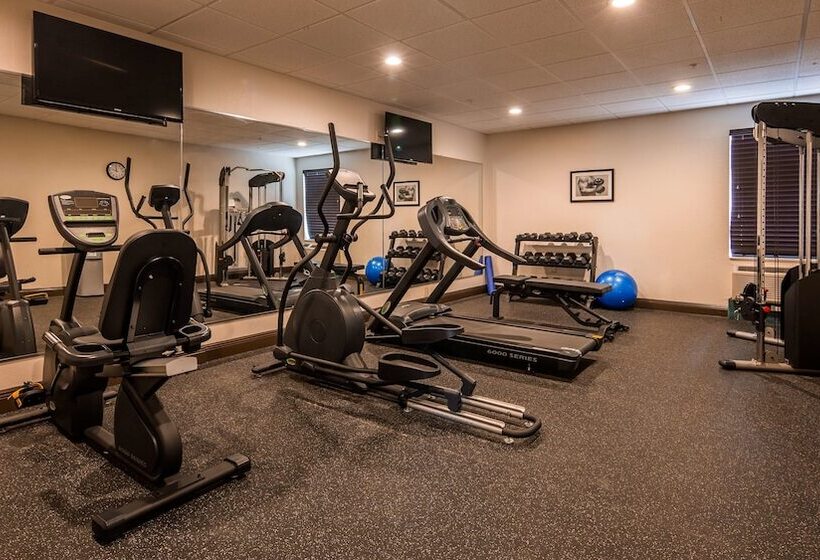 فندق على الطريق Best Western Mulberry