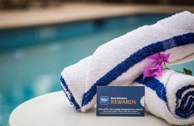 فندق على الطريق Best Western Mulberry