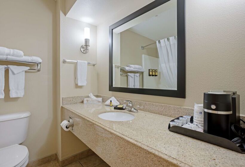 فندق على الطريق Best Western Plus Lonoke