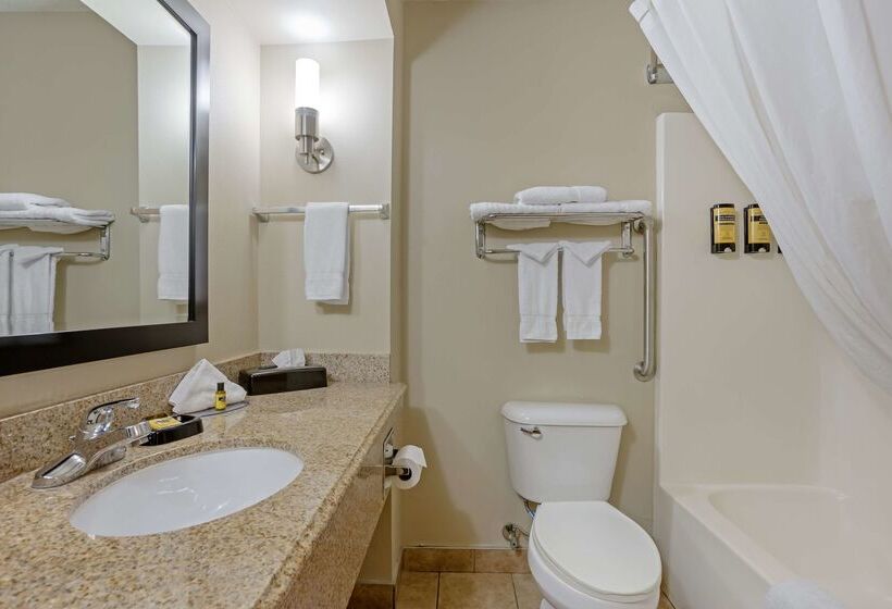 فندق على الطريق Best Western Plus Lonoke