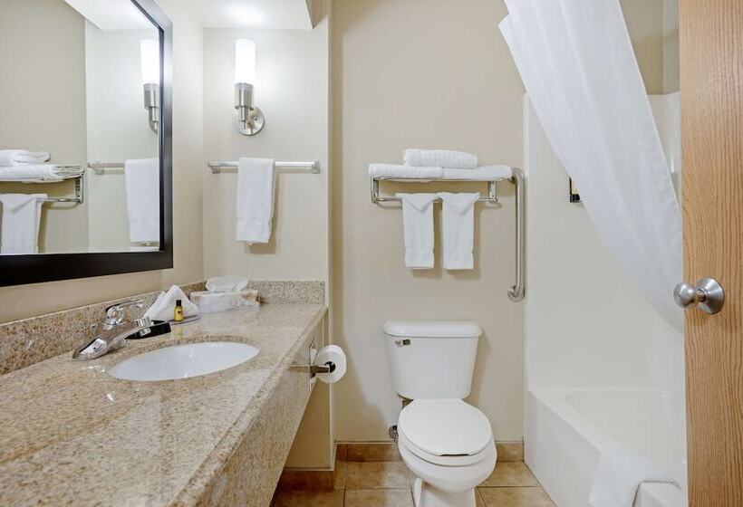 فندق على الطريق Best Western Plus Lonoke