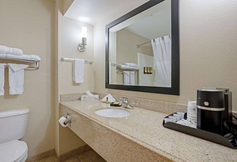 فندق على الطريق Best Western Plus Lonoke