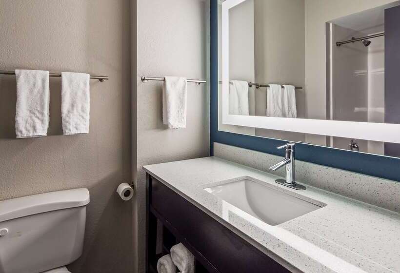 فندق على الطريق Best Western Rock Hill