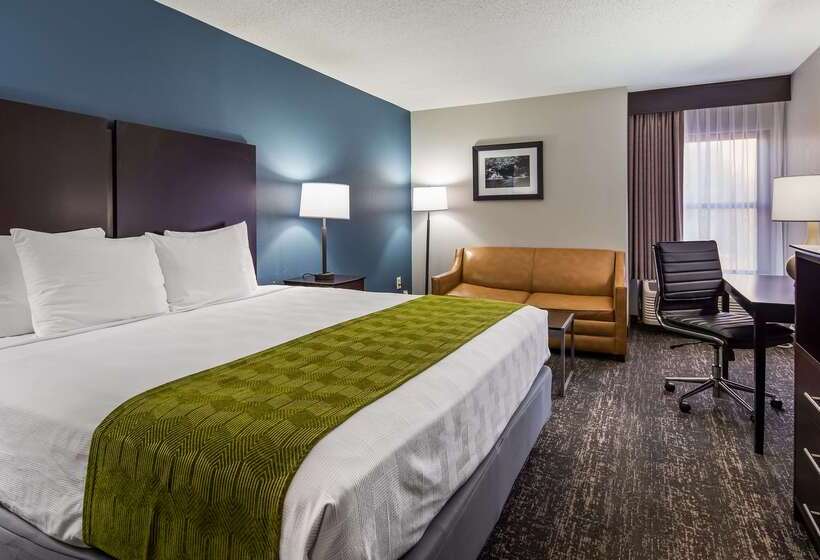 فندق على الطريق Best Western Rock Hill