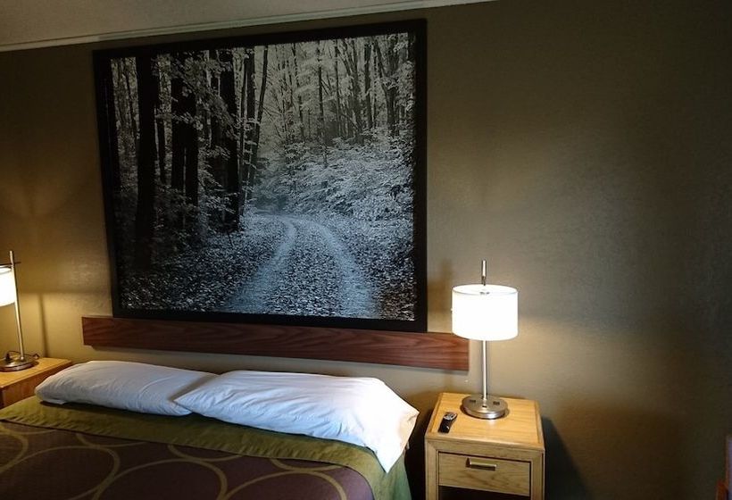 汽车旅馆  Burton Inn & Suites