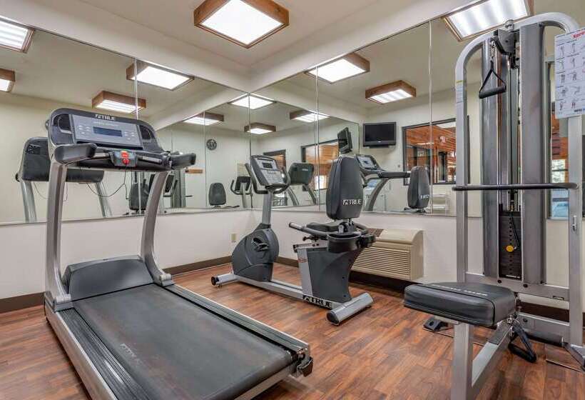 فندق على الطريق Comfort Inn